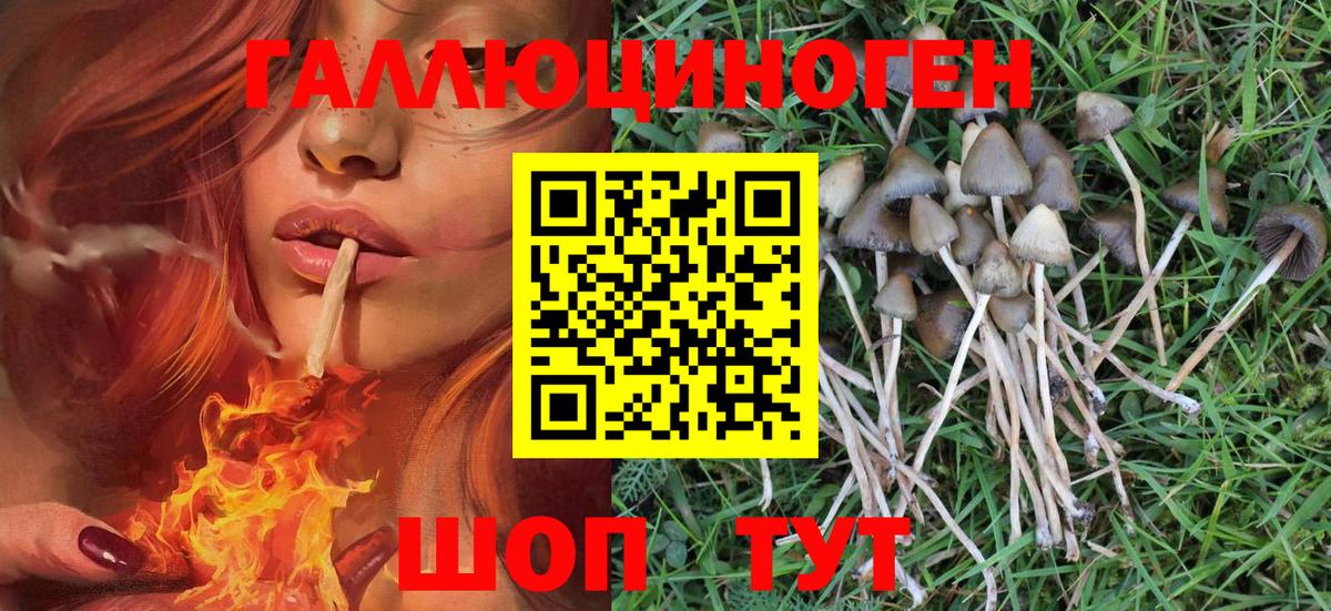 Псилоцибиновые грибы Psilocybine cubensis  Галлюциногенные грибы Magic Shrooms  Вход с VPN  Гусь-Хрустальный 